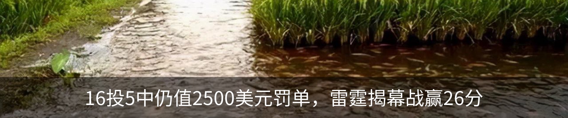 内页banner